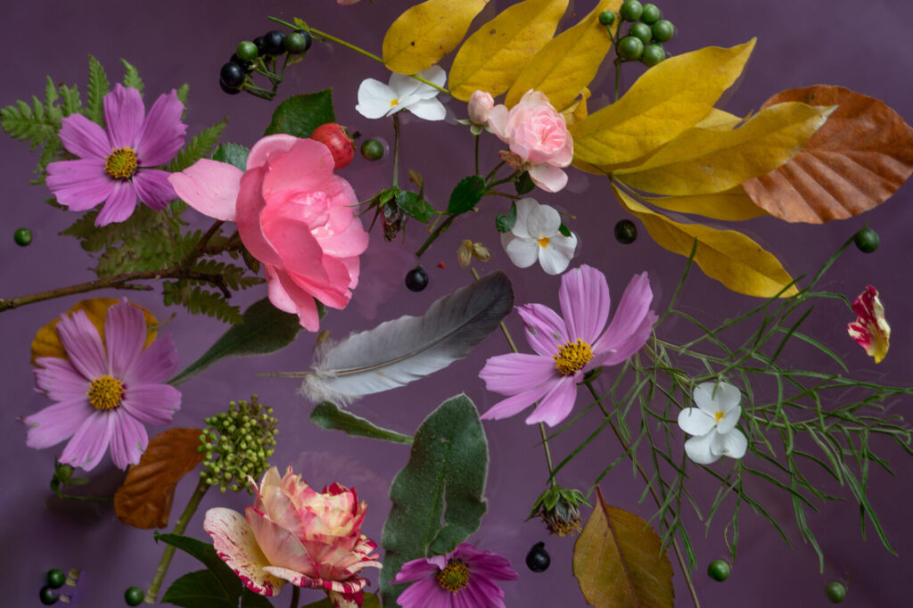 Bloemportret roze met kosmos, rozen, viooltjes