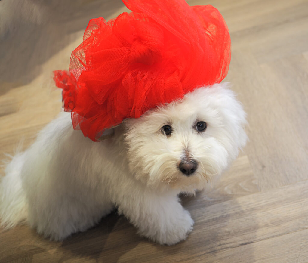 Kids op de Kiek met de hoedjes van de schilder Kees van Dongen tijdens de Atelierroute Laren2023