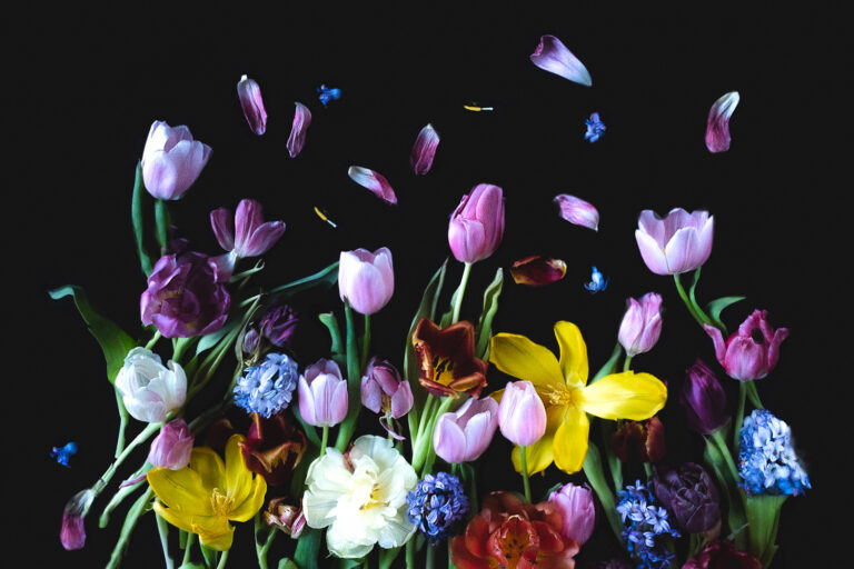 Lente op dibond en wenskaart Spring